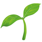 Laisse un fini mat,<br>naturel et indétectable