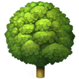 Des poils plus denses