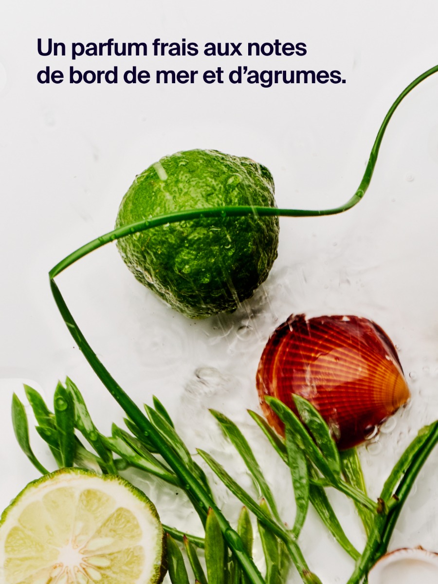 Déodorant Protection 12H Bergamote & Criste Marine