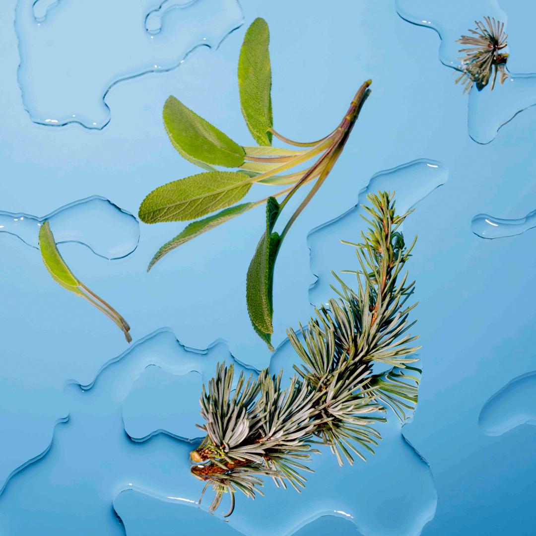 Gel douche Cèdre de Virginie & Feuille de sauge