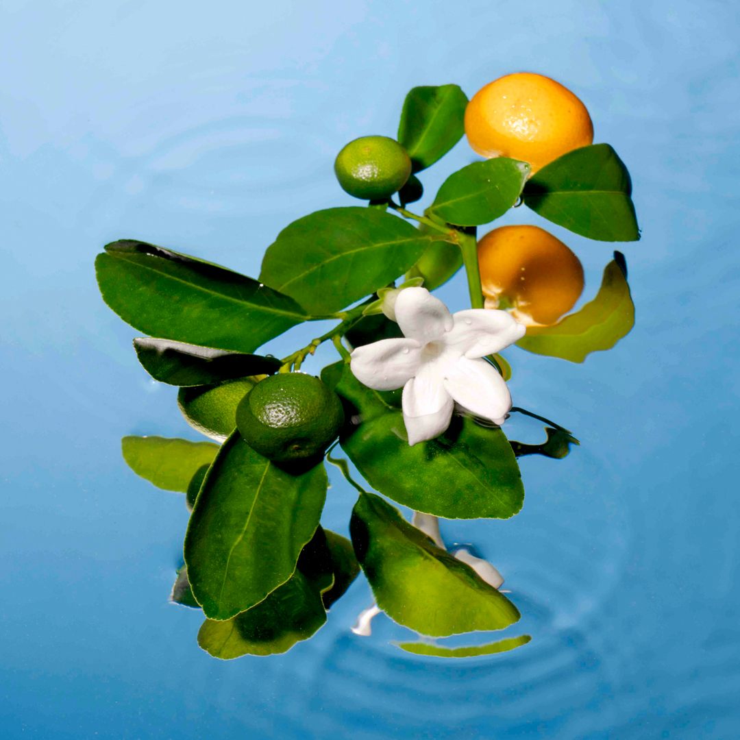 Gel douche Fleur d'oranger & Petitgrain