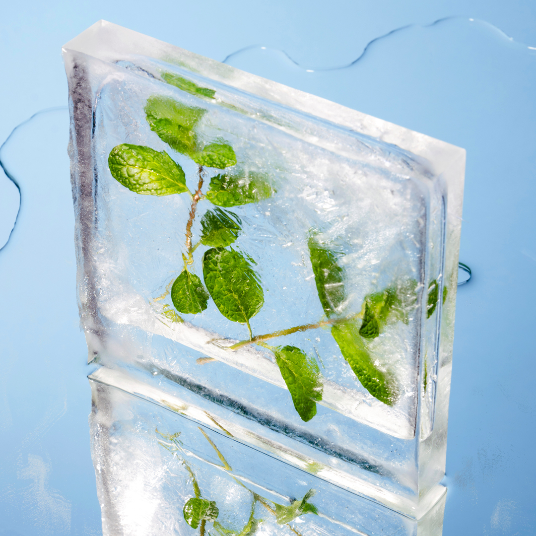 Gel douche Menthe poivrée & Arbre à thé