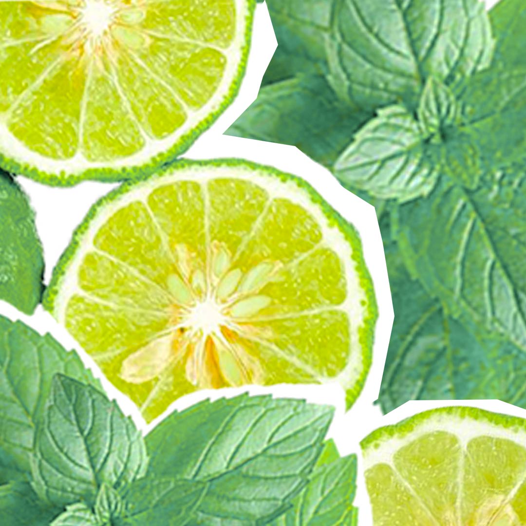 Pain de Savon Surgras Bergamote d'Italie & Menthe Poivrée