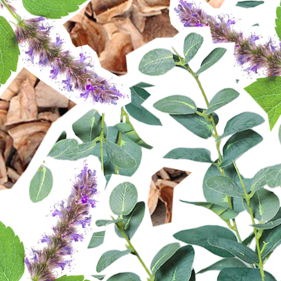 Pain de Savon Exfoliant