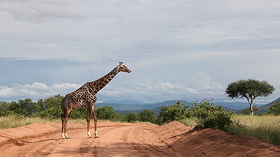 Évitez le "text neck"