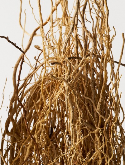 hrc-product-inspiration-image-alt