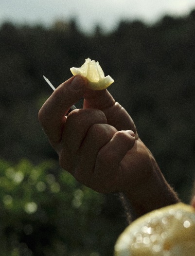 hrc-product-inspiration-image-alt