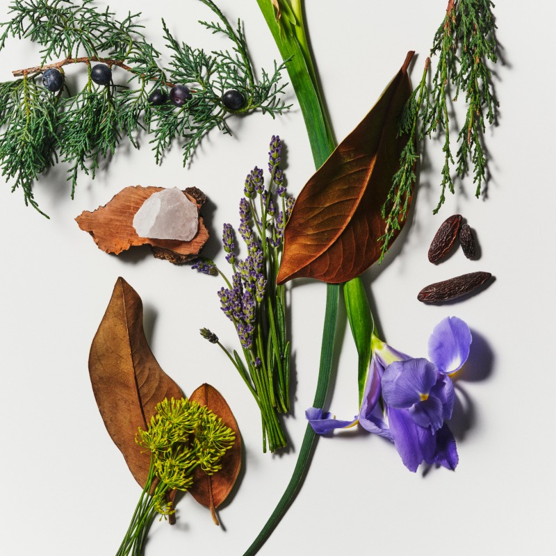 <strong>Fougère, frais, fumé</strong>