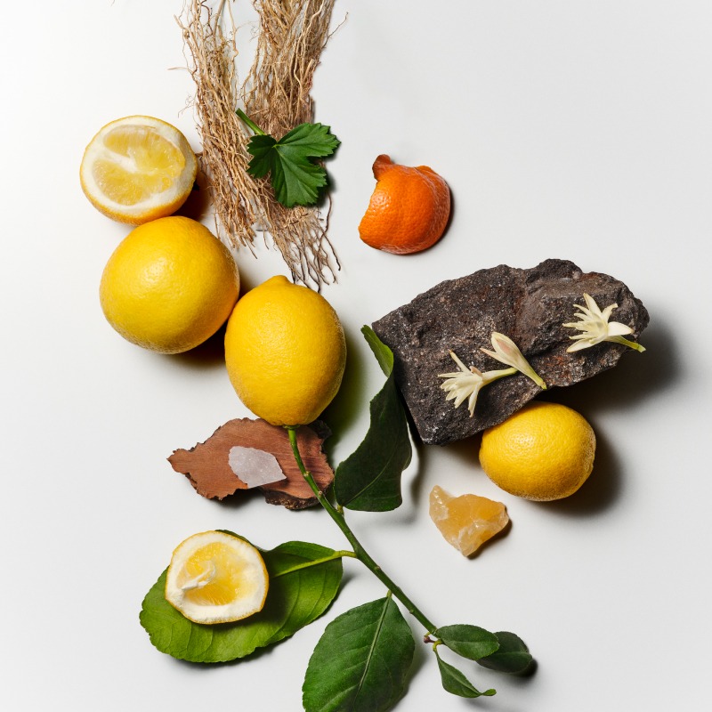 <strong>Agrumes, boisé, floral</strong>