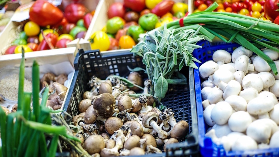 Étal de champignons