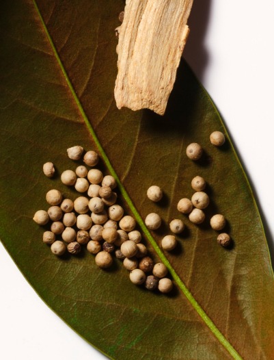 hrc-product-inspiration-image-alt