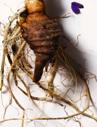 hrc-product-inspiration-image-alt