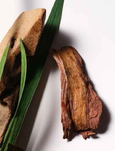 hrc-product-inspiration-image-alt