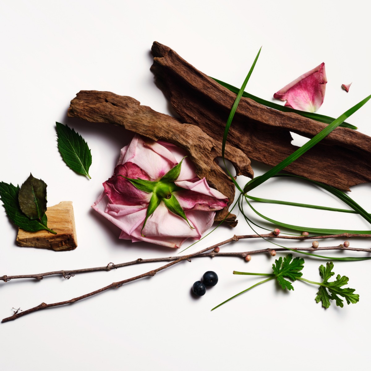 <strong>Floral, boisé, vert</strong>