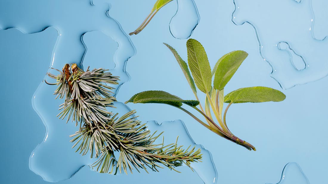 Tout ce qu'il faut savoir sur les huiles végétales