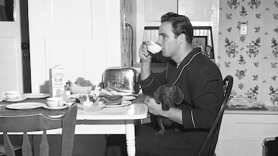 Pourquoi vous devriez boire du thé vert