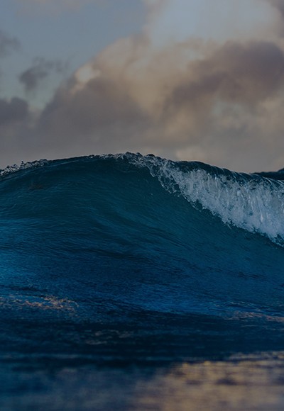 Surfrider Foundation